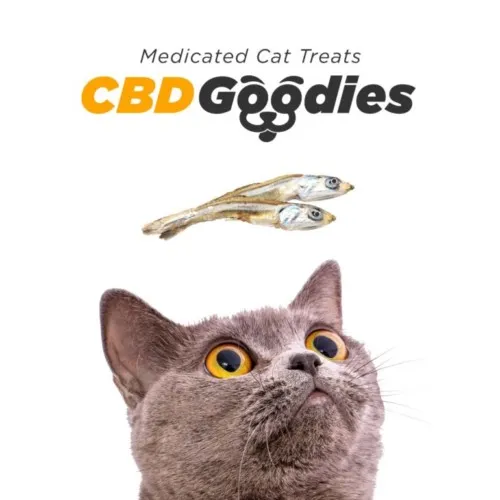 CBD Cat Treats - CBD Goodies